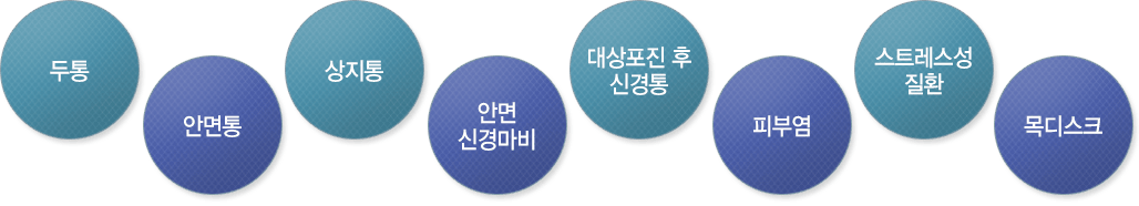 두퐁/안면통/상지통/안면신경마비/대상포진후 신경통/피부염/스트레스성질환/목디스크